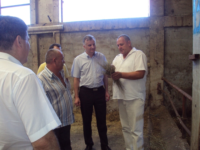 Farma Dusici