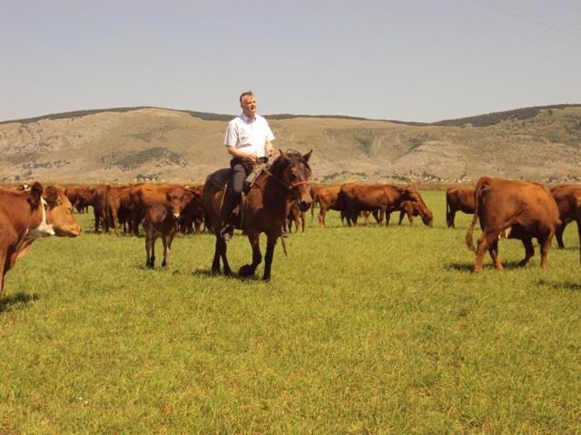 Gospodarstvo Papic