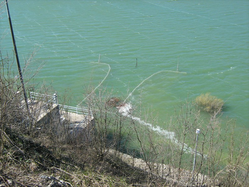26.03.13. Detalj Drinovackog polja